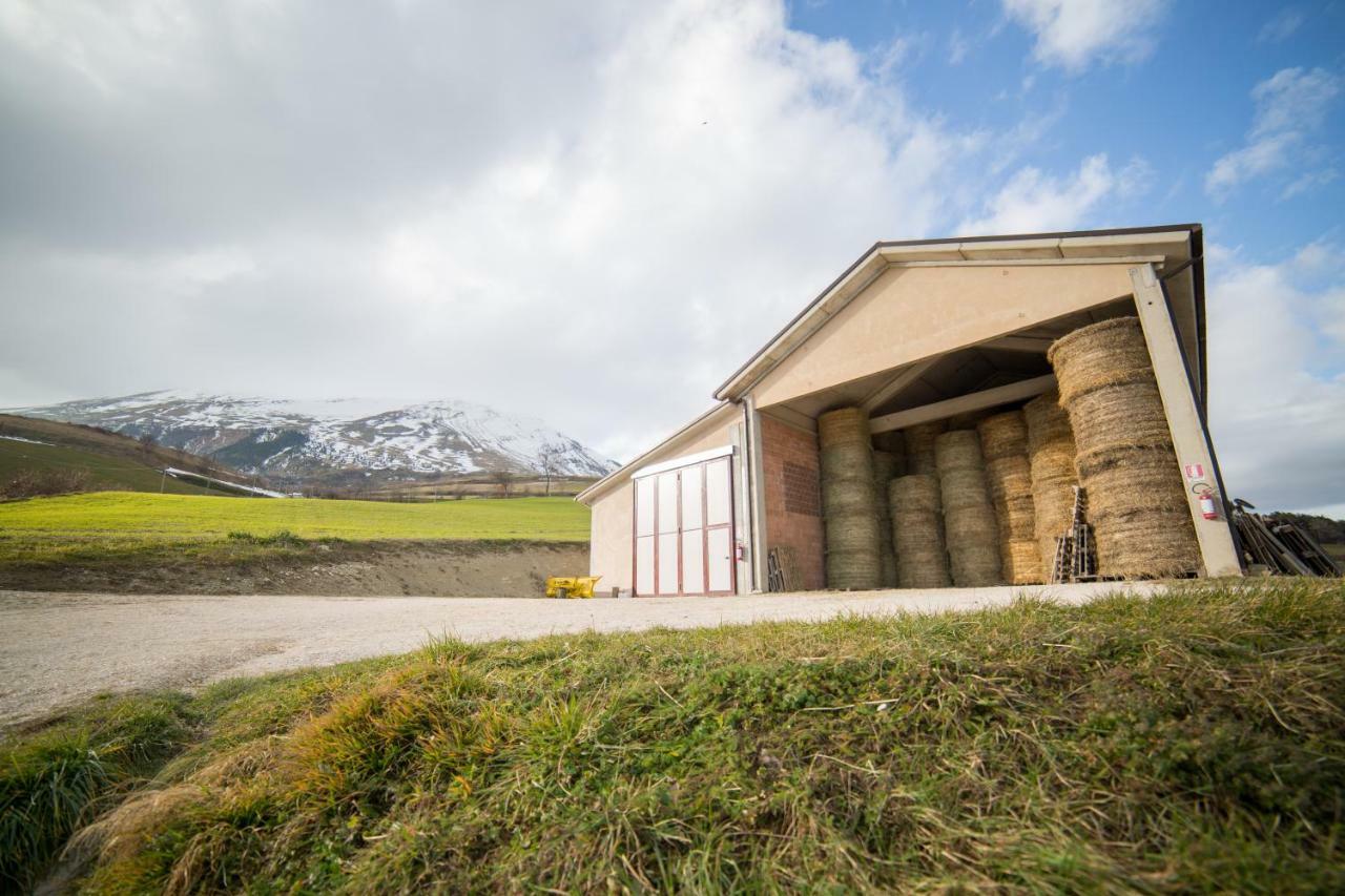 La Fattoria Dei Sibillini Villa Montemonaco Buitenkant foto